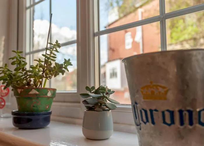 Wonky With Amazing Garden - Pass The Keys *